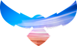 Accelerate Innovation