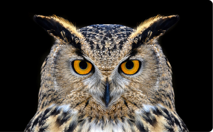 FPGA-Rooted One-Way Security