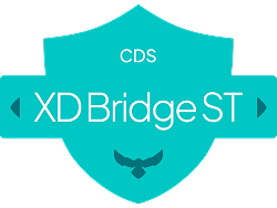 XD Bridge ST™