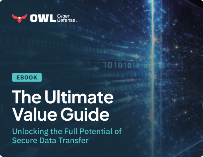 The Ultimate Value Guide to Owl Talon